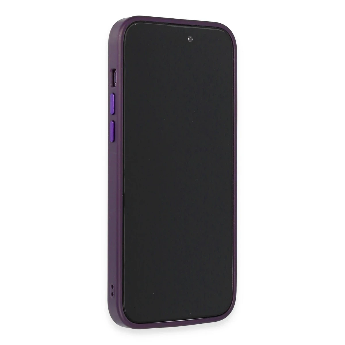HDD Apple iPhone 14 Pro Max Kılıf HBC-160 Almera Taşlı Kapak - Derin Mor