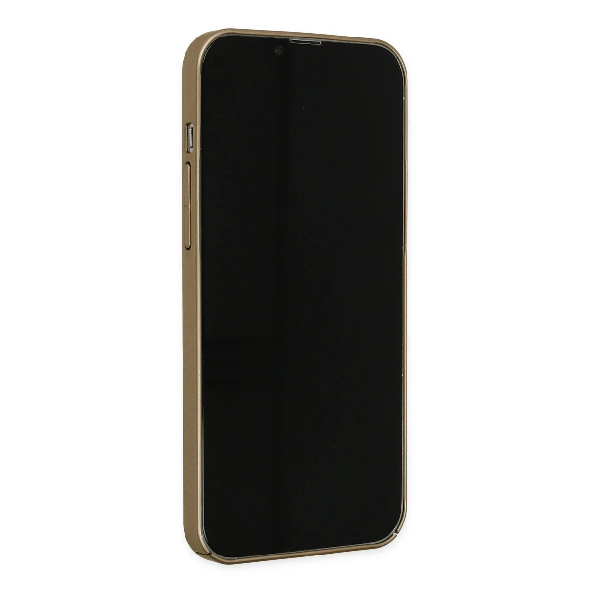 Newface Apple iPhone 14 Pro Kılıf Jack Magneticsafe Lens Silikon - Gold