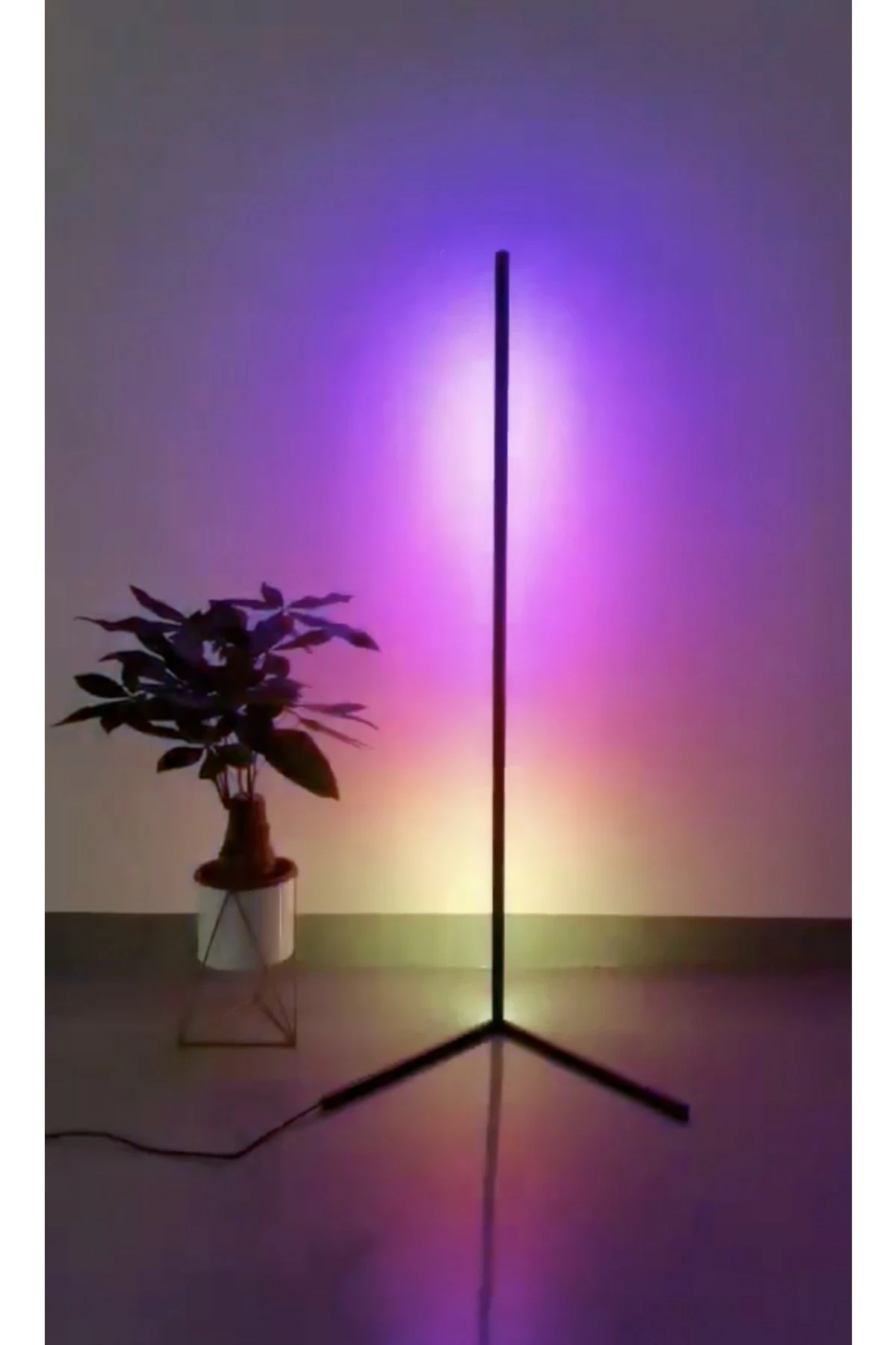 Newface FW140 Sunset 115 Led Light