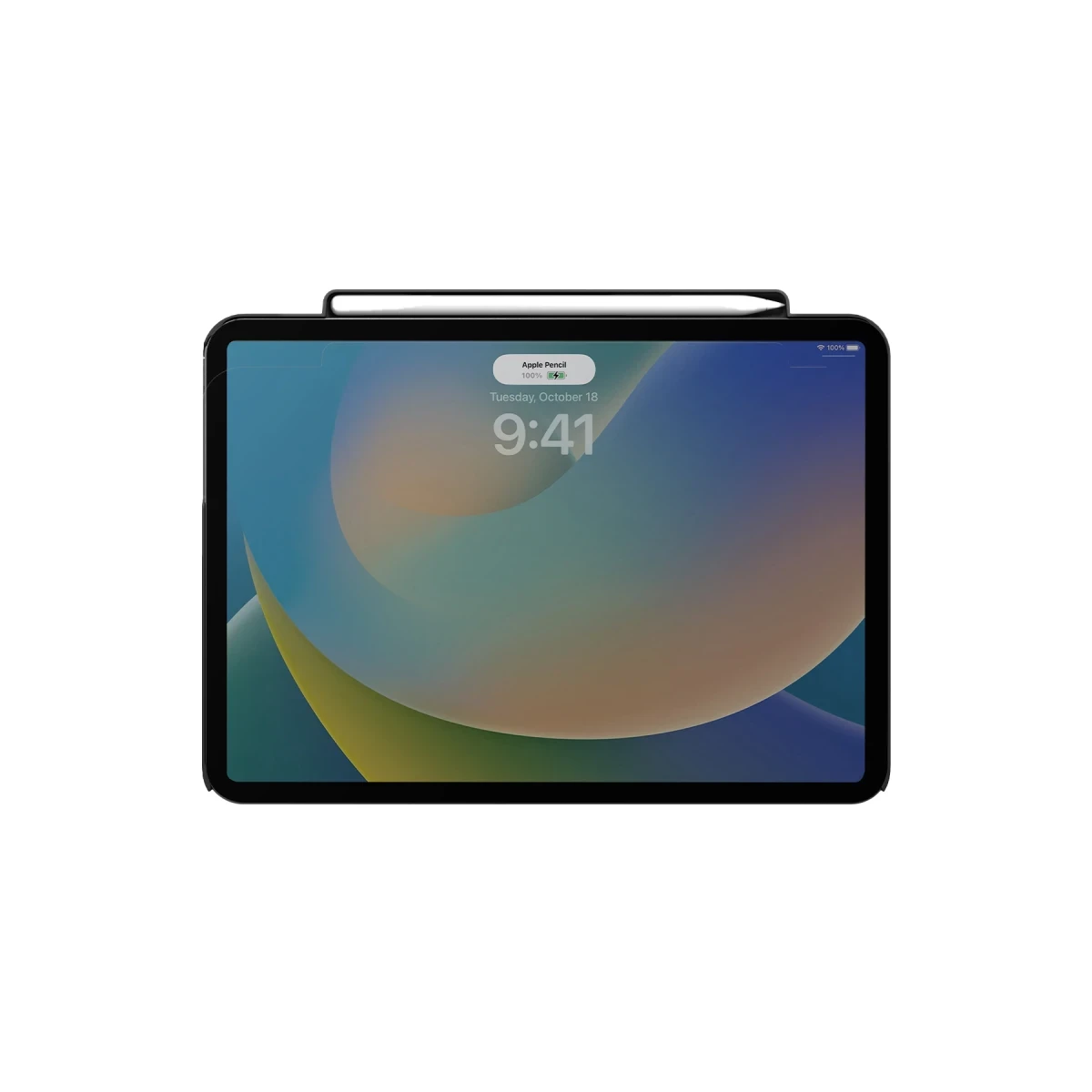 Uniq Apple iPad Pro 11 (2024) Axel Manyetik Tablet Kılıf - Siyah