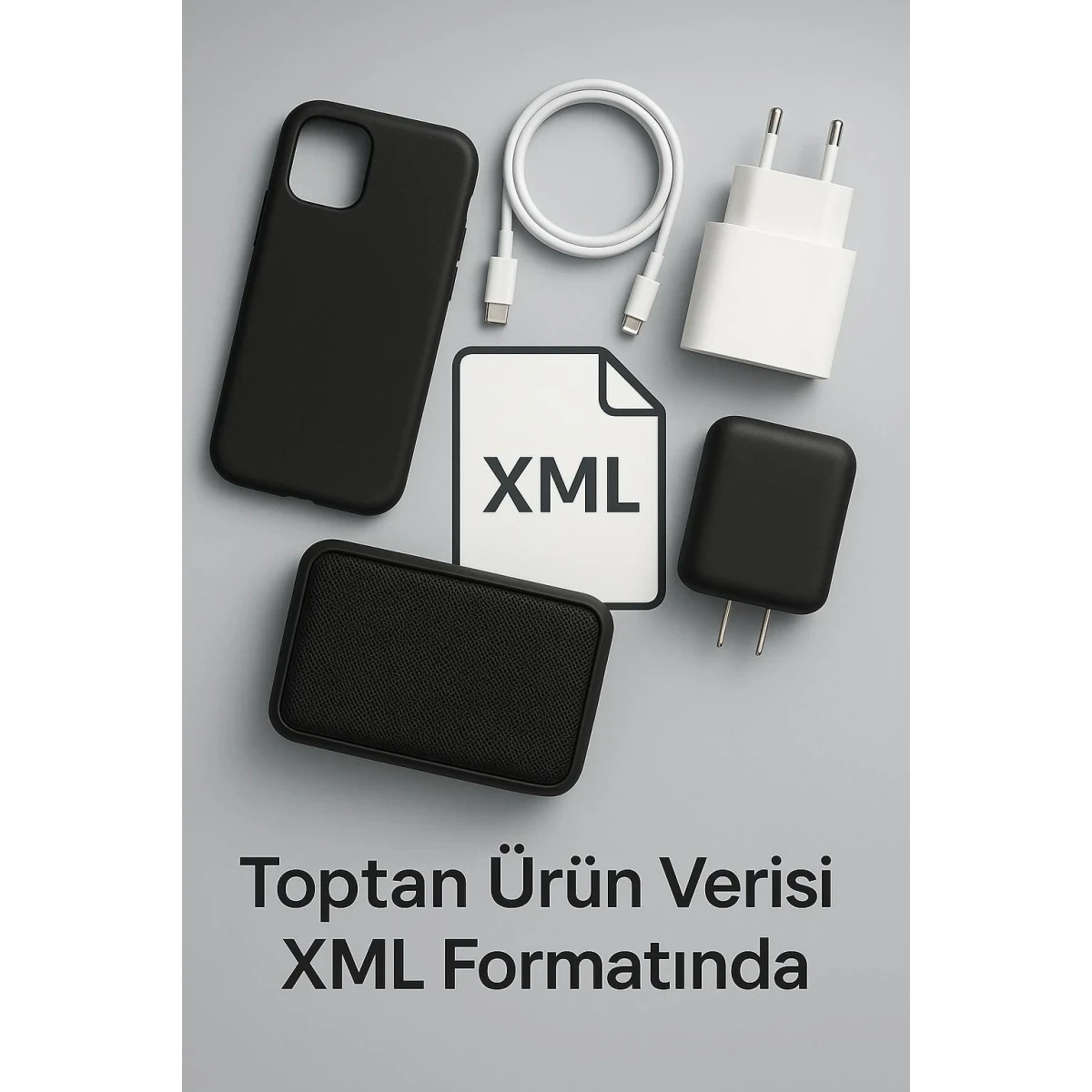 ONLİNE ÇIKTI HİZMETİ/XML 1 YILLIK — görsel 2